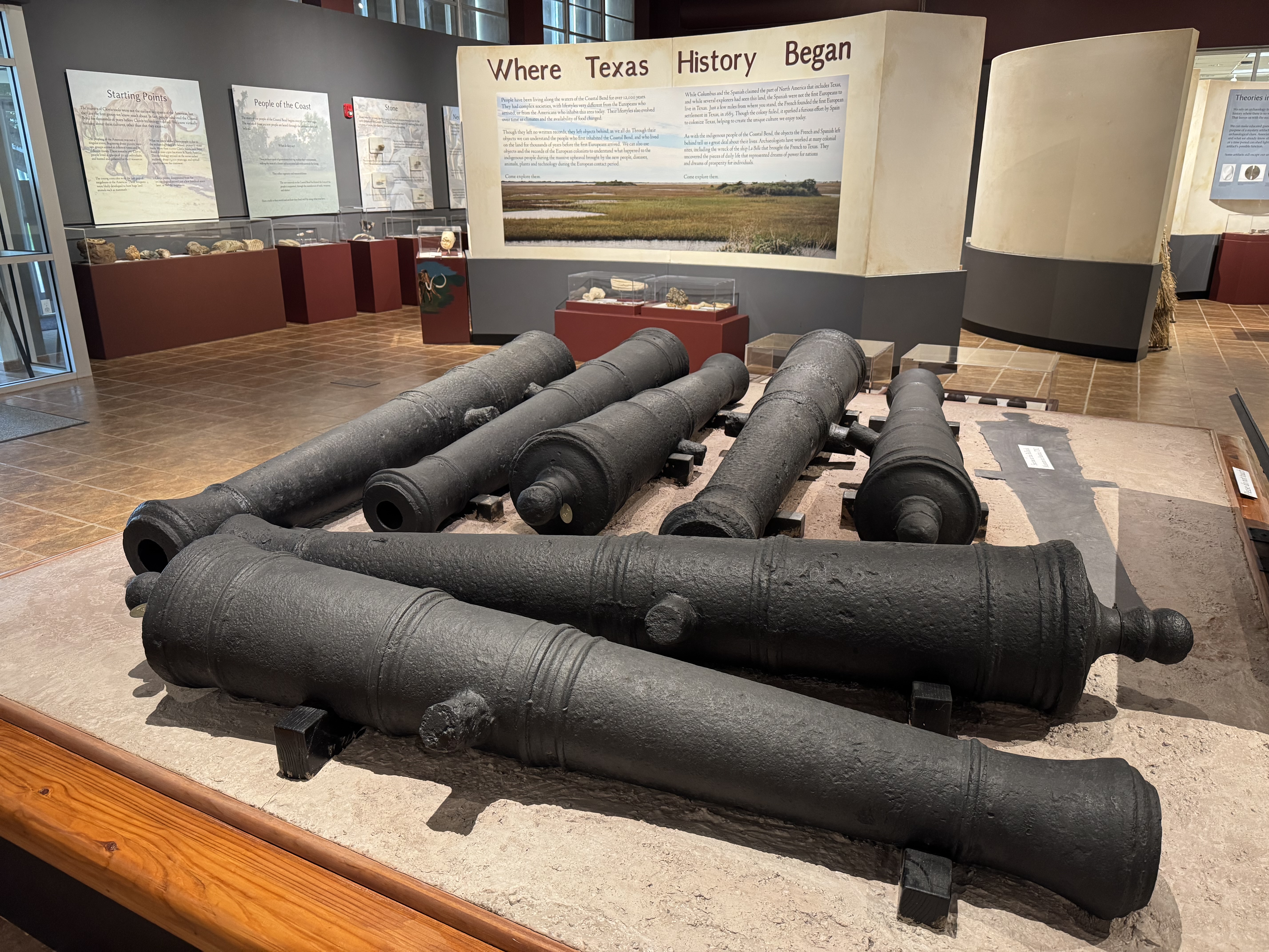 Eight iron cannons excavated from LaSalle's colony in Texas