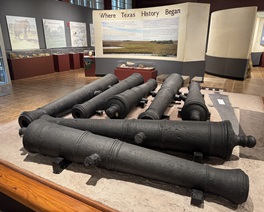 Eight iron cannons excavated from LaSalle's colony in Texas